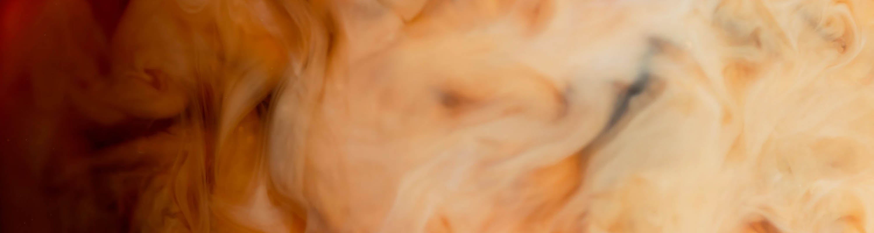 Coffee & Creamer Superfood