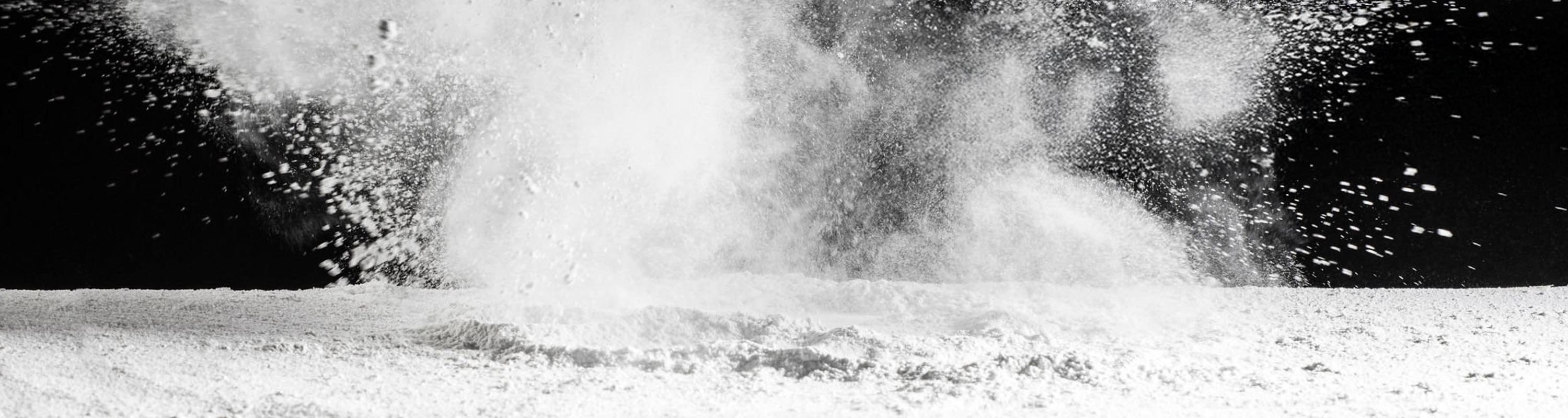 Life Force Protein™