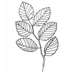 ELM